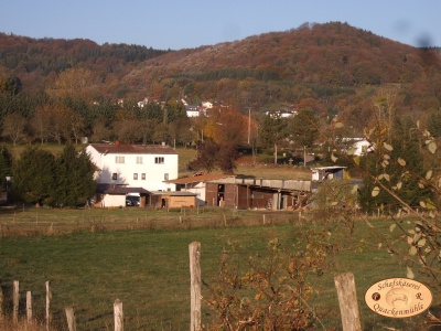 Der Hof